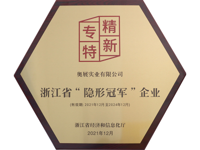 浙江省“隐形冠军”企业